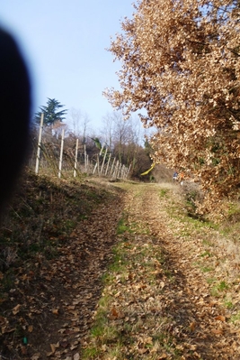 Clicca per vedere l'immagine alla massima grandezza