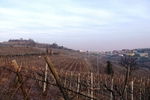 Monteforte_D_Alpone_2012_Tricarico_0002.jpg