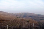 Monteforte_D_Alpone_2012_Tricarico_0003.jpg