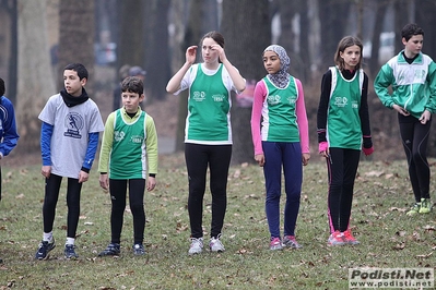 Clicca per vedere l'immagine alla massima grandezza