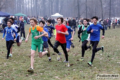 Clicca per vedere l'immagine alla massima grandezza