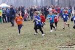 18_02_2012_Monza_parco_Camp_Brianzolo_foto_Roberto_Mandelli_0387.jpg