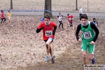 18_02_2012_Monza_parco_Camp_Brianzolo_foto_Roberto_Mandelli_0728.jpg