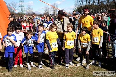 Clicca per vedere l'immagine alla massima grandezza