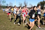 26_02_2012_Monza_Cross_x_Tutti_foto_Roberto_Mandelli_1243.jpg