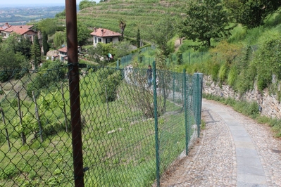 Clicca per vedere l'immagine alla massima grandezza