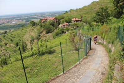 Clicca per vedere l'immagine alla massima grandezza