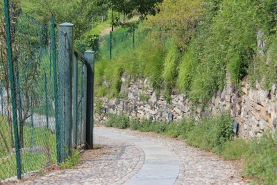 Clicca per vedere l'immagine alla massima grandezza