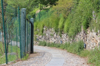 Clicca per vedere l'immagine alla massima grandezza