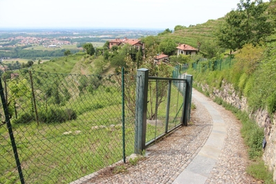 Clicca per vedere l'immagine alla massima grandezza
