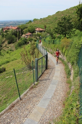 Clicca per vedere l'immagine alla massima grandezza