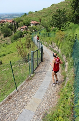 Clicca per vedere l'immagine alla massima grandezza