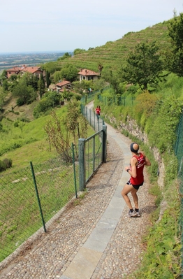 Clicca per vedere l'immagine alla massima grandezza