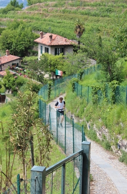 Clicca per vedere l'immagine alla massima grandezza