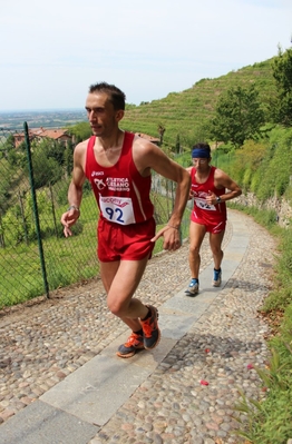 Clicca per vedere l'immagine alla massima grandezza