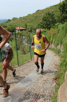 Clicca per vedere l'immagine alla massima grandezza