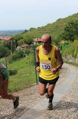 Clicca per vedere l'immagine alla massima grandezza