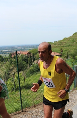 Clicca per vedere l'immagine alla massima grandezza