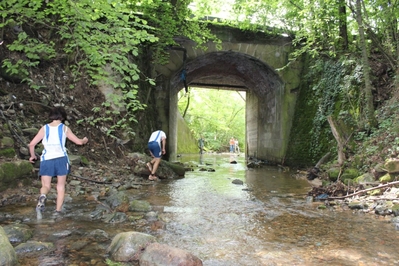 Clicca per vedere l'immagine alla massima grandezza