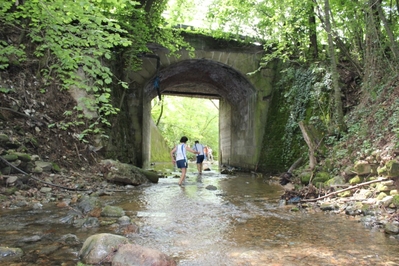 Clicca per vedere l'immagine alla massima grandezza