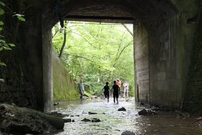 Clicca per vedere l'immagine alla massima grandezza