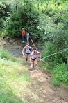 IMG_2094.jpg