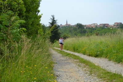 Clicca per vedere l'immagine alla massima grandezza