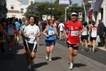 noci_1538.jpg
