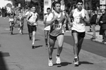 mont_580.jpg