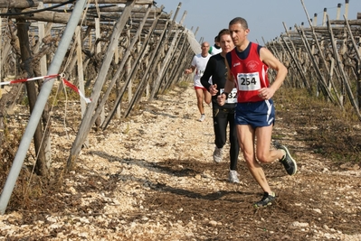 Clicca per vedere l'immagine alla massima grandezza