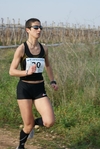 gall_074.jpg