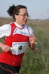 gall_086.jpg