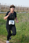 gall_116.jpg