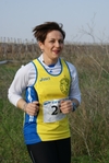 gall_128.jpg