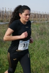 gall_131.jpg
