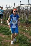 gall_144.jpg