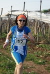 gall_145.jpg