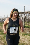 gall_167.jpg