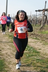 gall_171.jpg