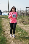 gall_175.jpg
