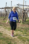 gall_179.jpg