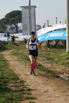 gall_217.jpg