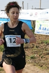 gall_227.jpg