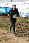 gall_232.jpg