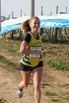 gall_252.jpg
