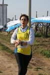 gall_258.jpg
