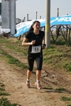 gall_262.jpg