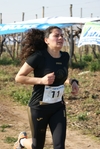 gall_264.jpg