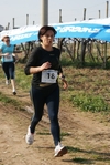gall_275.jpg