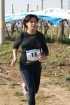 gall_276.jpg